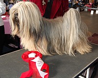 DSC_9760_DxO.jpg DSC_9760_DxO.jpg