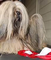 DSC_9761_DxO.jpg DSC_9761_DxO.jpg