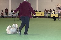 DSC_9784_DxO.jpg DSC_9784_DxO.jpg