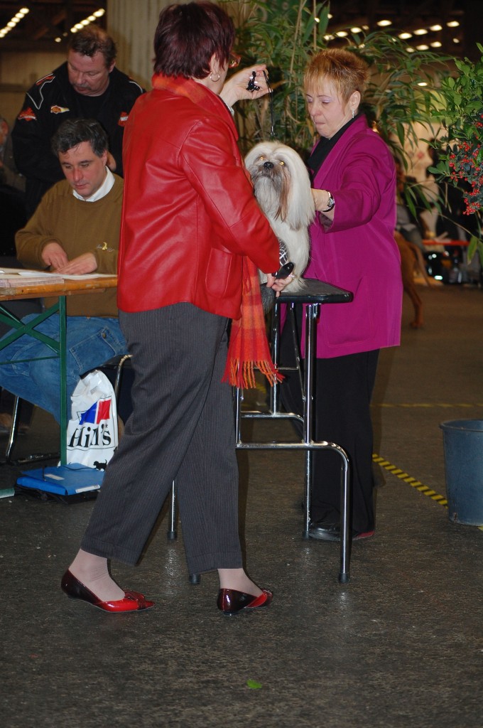DSC_1713.jpg