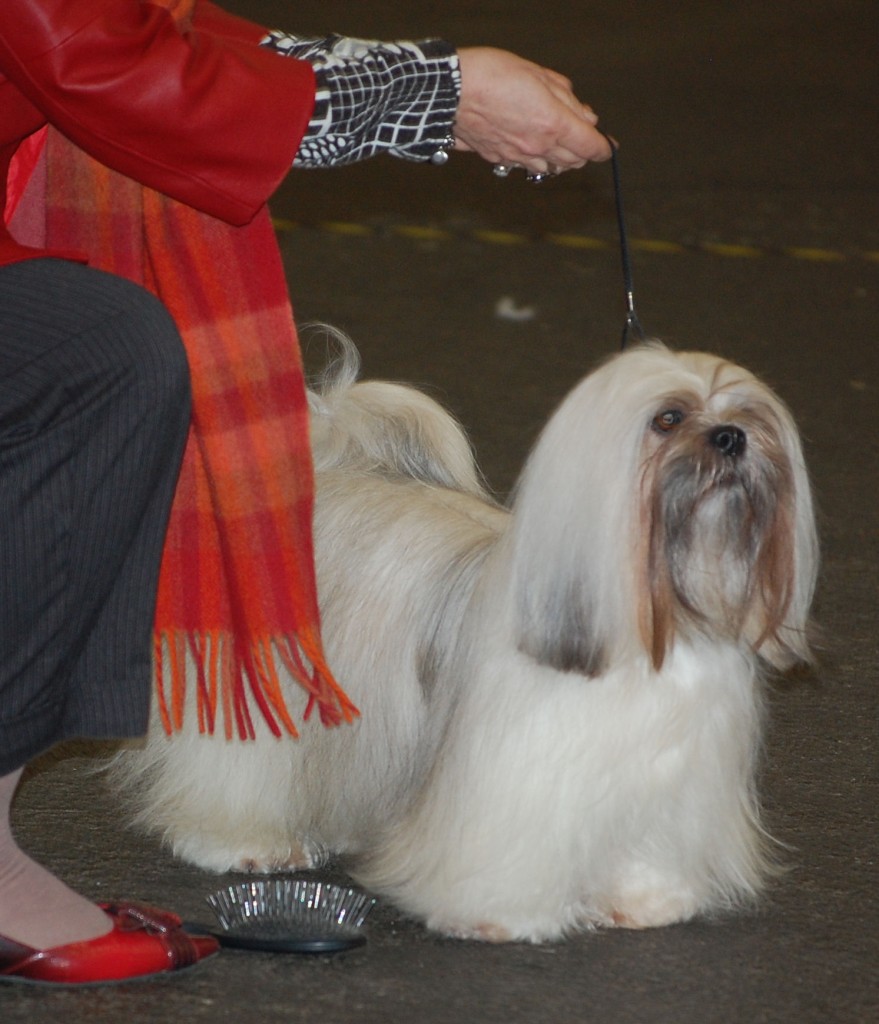 DSC_1715.jpg