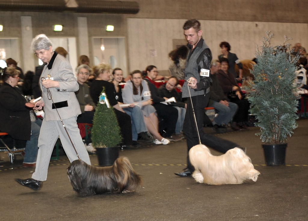 DSC_1723.jpg