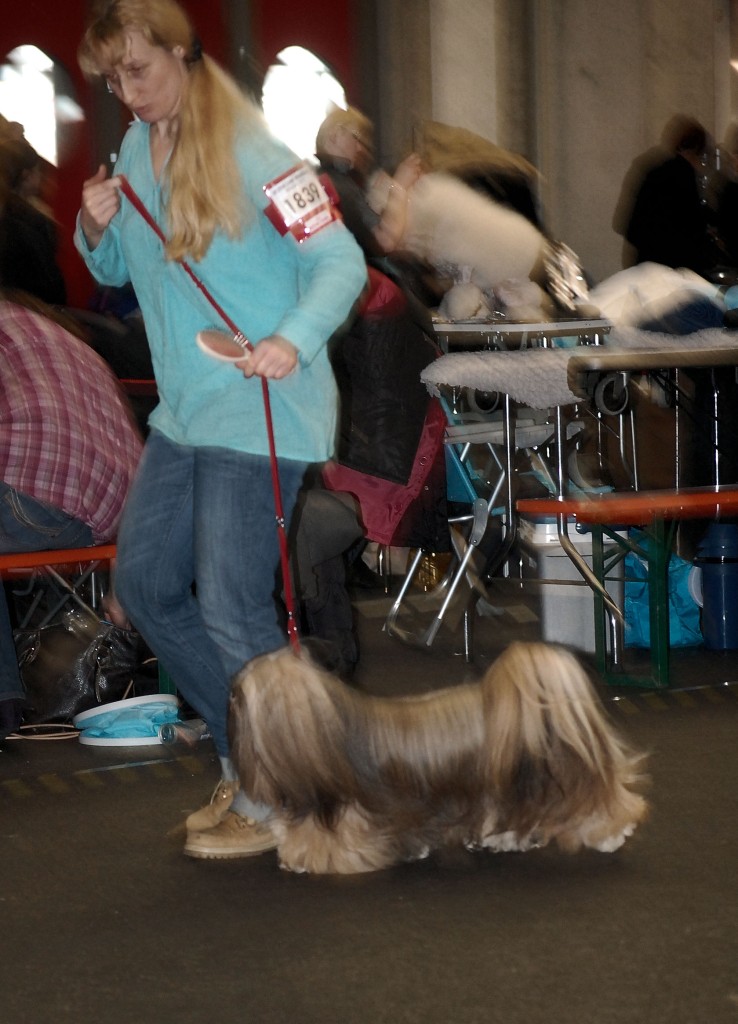 DSC_1724.jpg