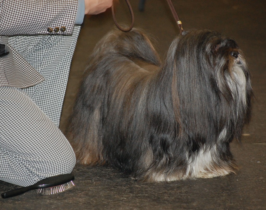 DSC_1731.jpg