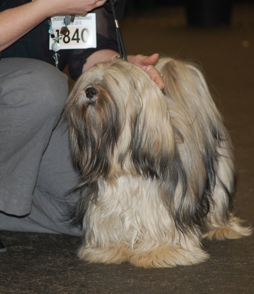 DSC_1767.jpg
