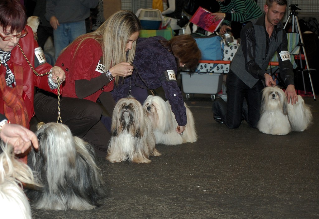 DSC_1776.jpg