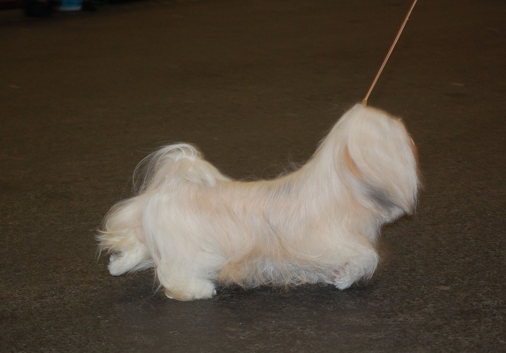 DSC_1791.jpg