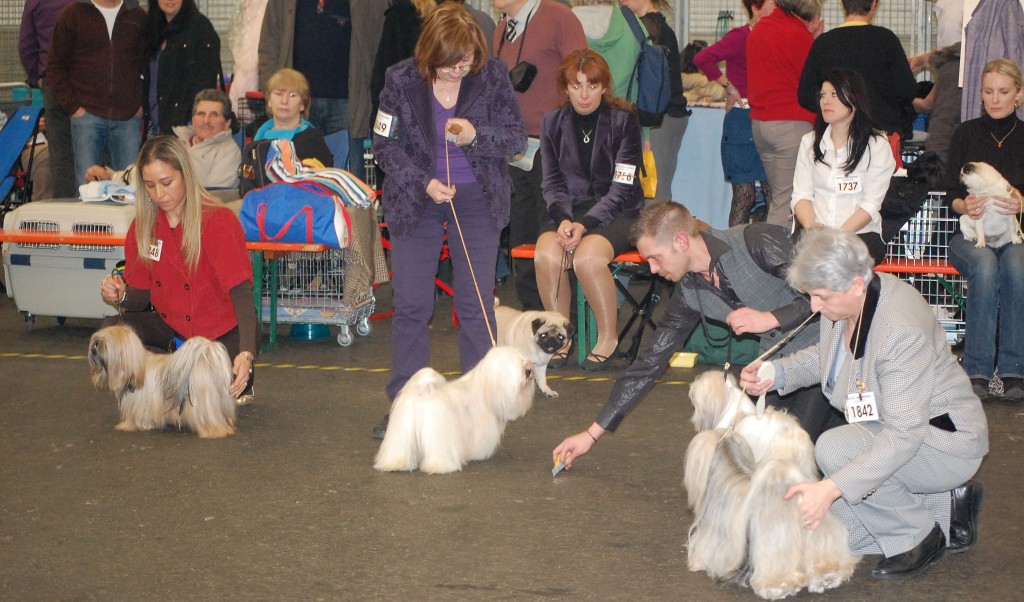 DSC_1799.jpg