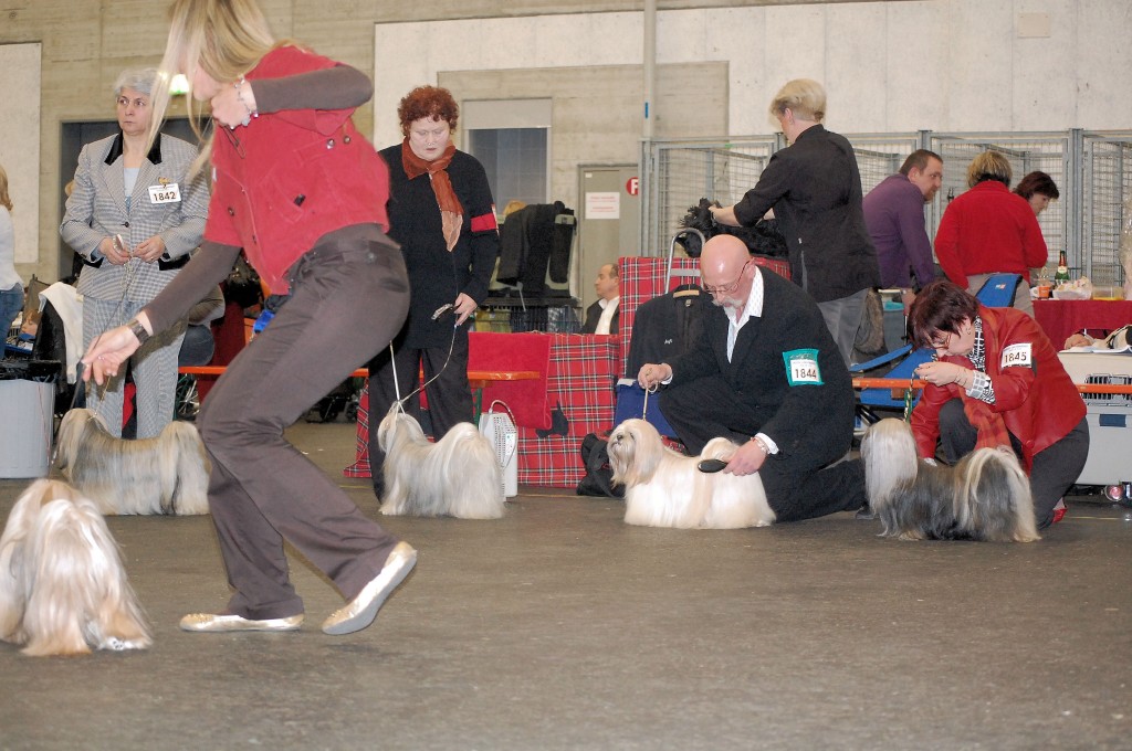 DSC_1852.jpg