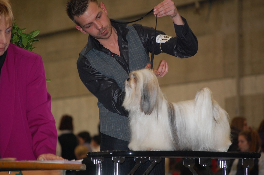 DSC_1857.jpg