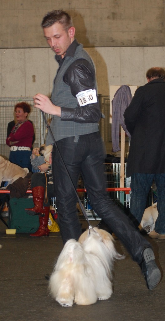 DSC_1863.jpg