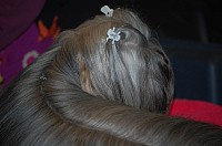 DSC_1680.jpg