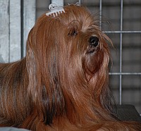 DSC_1681.jpg