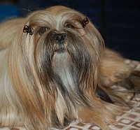 DSC_1684.jpg
