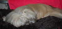 DSC_1686.jpg