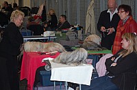 DSC_1690.jpg
