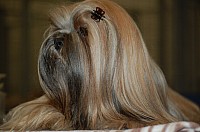 DSC_1692.jpg