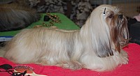 DSC_1694.jpg