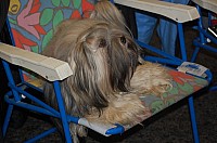 DSC_1699.jpg