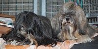 DSC_1703.jpg
