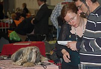 DSC_1709.jpg