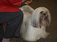 DSC_1710.jpg