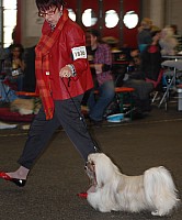 DSC_1712.jpg