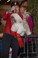 DSC_1714.jpg