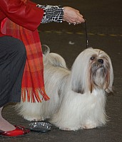 DSC_1715.jpg