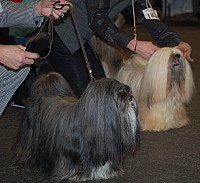 DSC_1719.jpg
