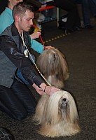 DSC_1720.jpg