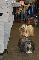 DSC_1722.jpg