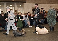 DSC_1723.jpg