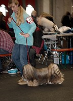 DSC_1724.jpg