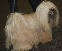 DSC_1725.jpg