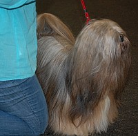 DSC_1726.jpg