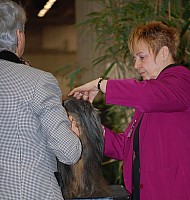 DSC_1727.jpg