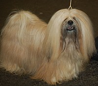 DSC_1728.jpg