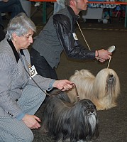 DSC_1746.jpg