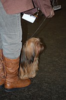DSC_1762.jpg