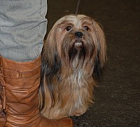 DSC_1763.jpg