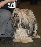 DSC_1767.jpg