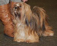 DSC_1773.jpg