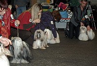 DSC_1776.jpg