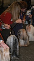 DSC_1780.jpg