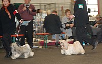 DSC_1785.jpg