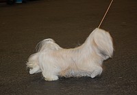 DSC_1791.jpg