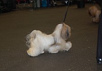 DSC_1792.jpg