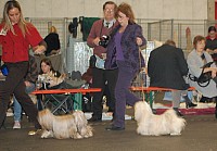 DSC_1793.jpg