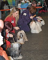 DSC_1794.jpg